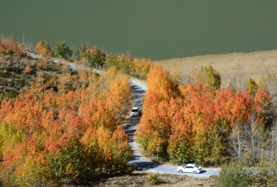 صور :بحيرة نمرود البركانية في ولاية بتليس تتزين بألوان قوس قزح