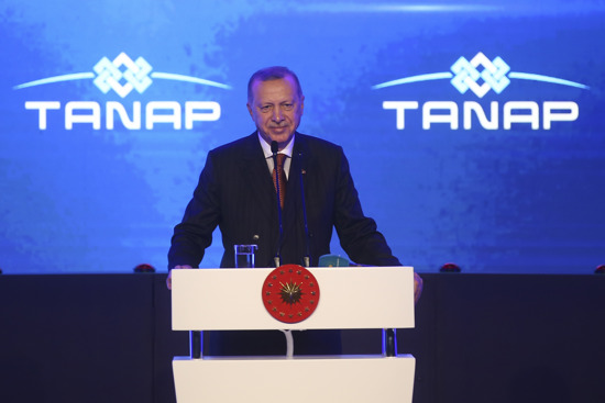 أردوغان: بنود الاتفاقية بين تركيا وليبيا ستدخل حيز التنفيذ