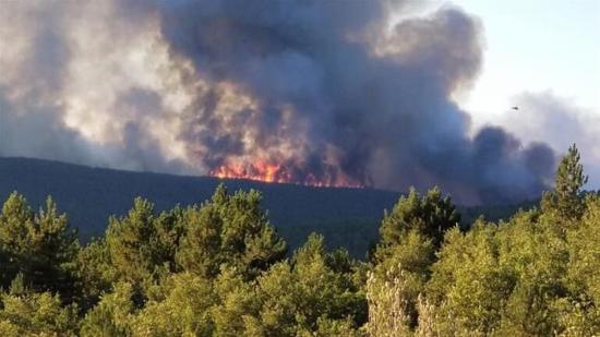 اندلاع حرائق الغابات في 58 موقعًا بـ4 محافظات تركية