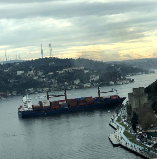 سفينة شحن ضخمة تصطدم بساحل البسفور في إسطنبول