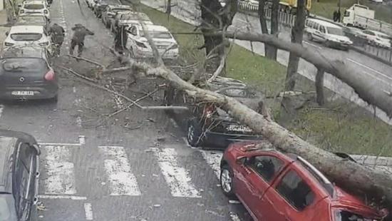 تساقط أشجار وتطاير أسطح جراء عاصفة إسطنبول