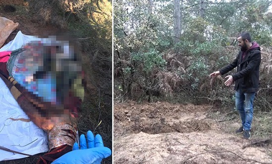 العثور على جثة امرأة ملفوفة  ببطانية في غابة باسطنبول