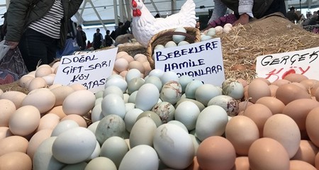 إنتاج 1.69 مليار بيضة في تركيا خلال نوفمبر الماضي
