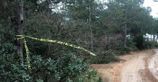 العثور على قاتل المرأة في غابة إسطنبول .. تفاصيل صادمة