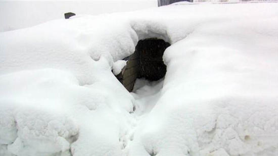 الثلوج تكسو مدينة موش وتغمر عشرات المنازل شرقي تركيا