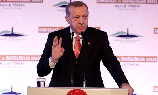 أردوغان يفتتح جزيرة "الديمقراطية والحريات" ويهاجم "الانقلابيين"