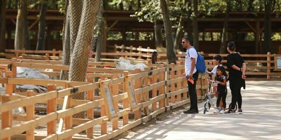 متنزهات وحدائق تركيا تستعد لفتح أبوابها الاثنين القادم