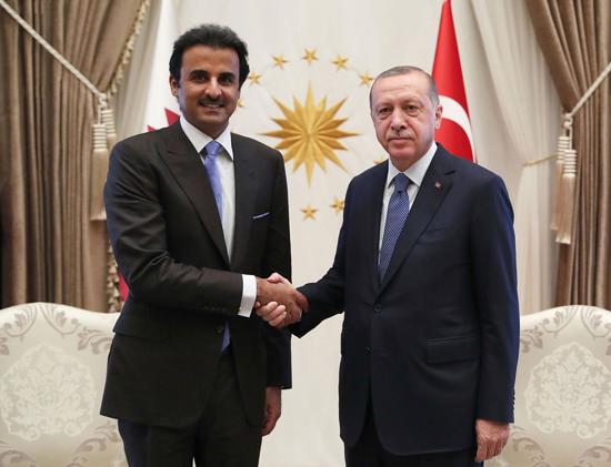 الرئيس التركي يناقش مع أمير قطر العلاقات بين البلدين وقضايا إقليمية