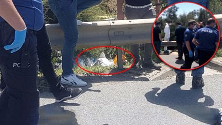 العثور على جثة مقطعة على جانب الطريق في اسطنبول