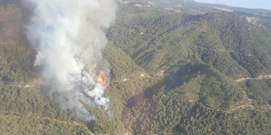  حريق ضخم في غابات مانيسا