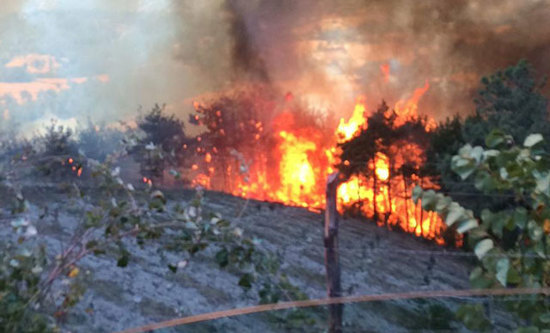 حريق ضخم في منطقة الغابات في كوزان