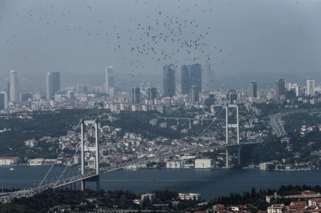 كيف تحمي تركيا طيور اللقلق في رحلة الخريف والصّيف؟