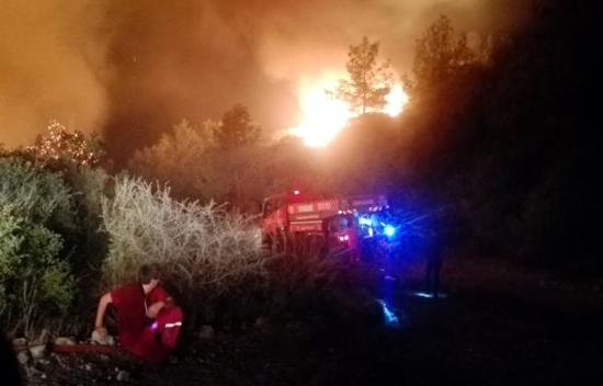 اخماد حريق اندلع في غابات مانافجات بأنطاليا
