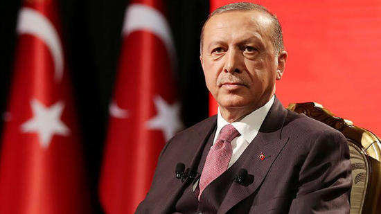 الرئيس أردوغان يعود لتركيا بعد جولته الخارجية