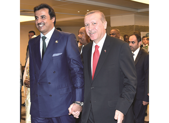 أمير قطر: أردوغان أخي الكبير ونحن معه إلى الموت