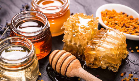 صادرات العسل التركي تتجاوز الـ 18 مليون دولار 