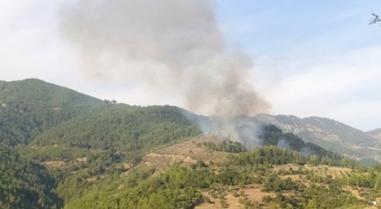 عاجل: حريق ضخم بإحدى غابات أضنة