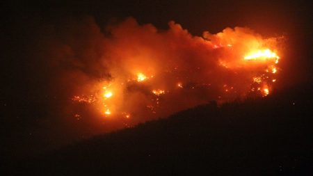 بيان المدعي العام حول حريق الغابة في هاتاي