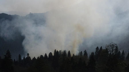 استمرار الجهود للسيطرة على حريق الغابات في تركيا