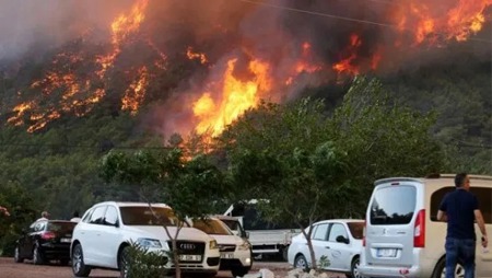 تضرر 535 فداناً في حرائق غابات مرسين