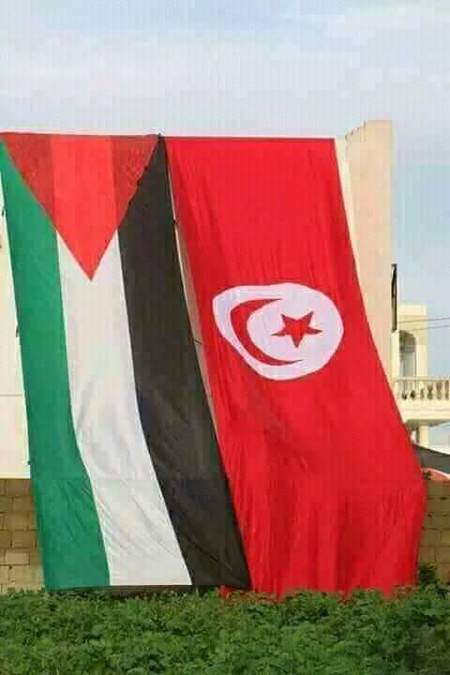 تونس تنفي وجود أية اتصالات مع دولة الاحتلال