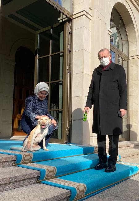 أمينة أردوغان تصطحب معها الكلبة "لبلبي" إلى القصر الجمهوري