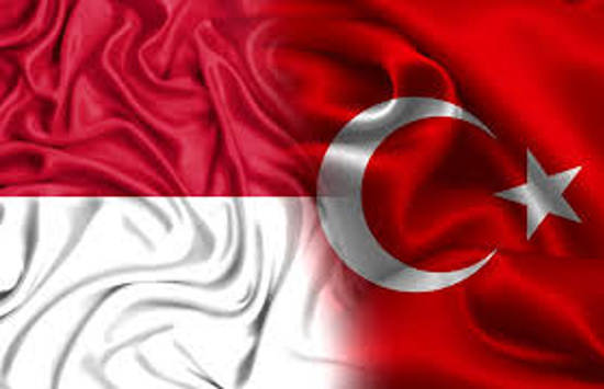 تركيا تعزي إندونيسيا في ضحايا الطائرة المتحطمة