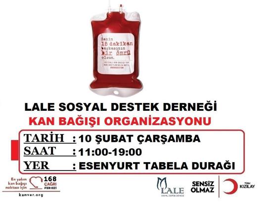 جمعية فلسطينية  تطلق حملة للتبرع بالدم في إسطنبول.. تابع التفاصيل
