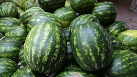 البطيخ يتربع قائمة المنتجات التي حققت الإرتفاع الأعلى  بالسعر في تركيا